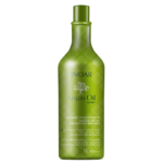 INOAR Argan Oil System intensyviai drėkinantis kondicionierius su argano aliejumi 1000 ml