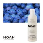 Noah 1.9. Anti-Yellow Shampoo Geltonus atspalvius neutralizuojantis šampūnas, 250ml - Image 2