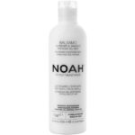 Noah maitinamasis balzamas lengvinantis plaukų iššukavimą 2.1. Nourishing Conditioner With Mango And Rice Proteins, 250 ml - Image 2