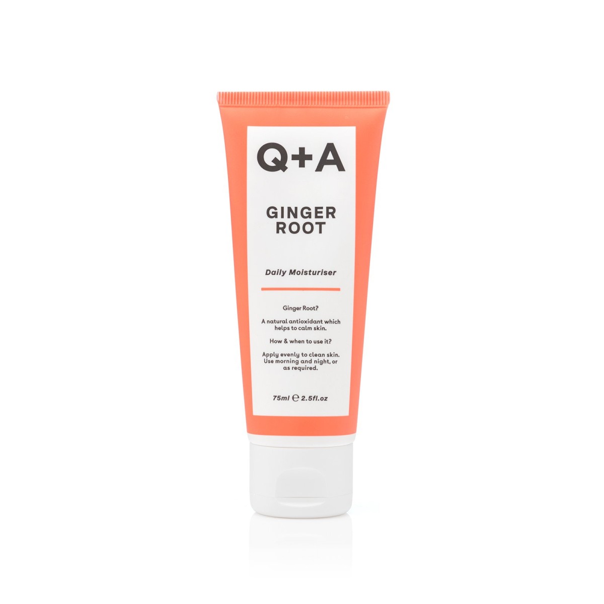 ginger-root-moisturiser-1200x1200 Q+A kasdienis drėkinamasis kremas Ginger Root Daily Moisturiser, 75 ml - Image 1
