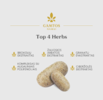 GAMTOS NAMAI TOP 4 HERBS augalinių polifenolių kompleksas, 120 tablečių - Image 3